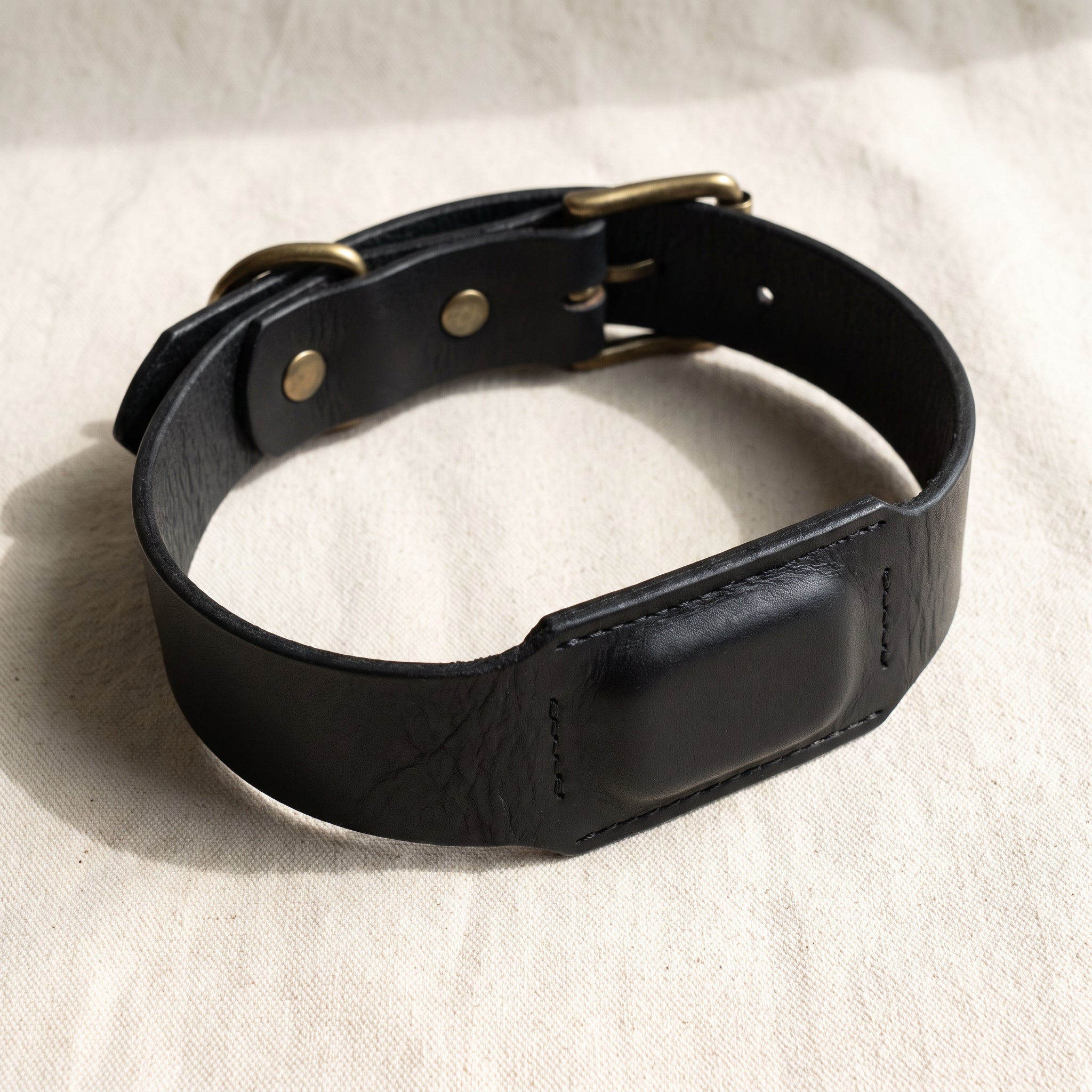 Onyx black leather dog collar with hidden AirTag pocket, brass hardware, smart tracker compatible