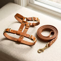 Caramel leather H-style cat harness with matching 3ft leash set, brass trigger clasp
