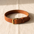 Hand-tanned cognac brown leather dog collar with brass pin buckle, 1.2cm width