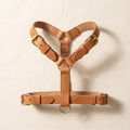 Y-front tan leather harness for small breeds and brachycephalic dogs, brass hardware, two D-rings