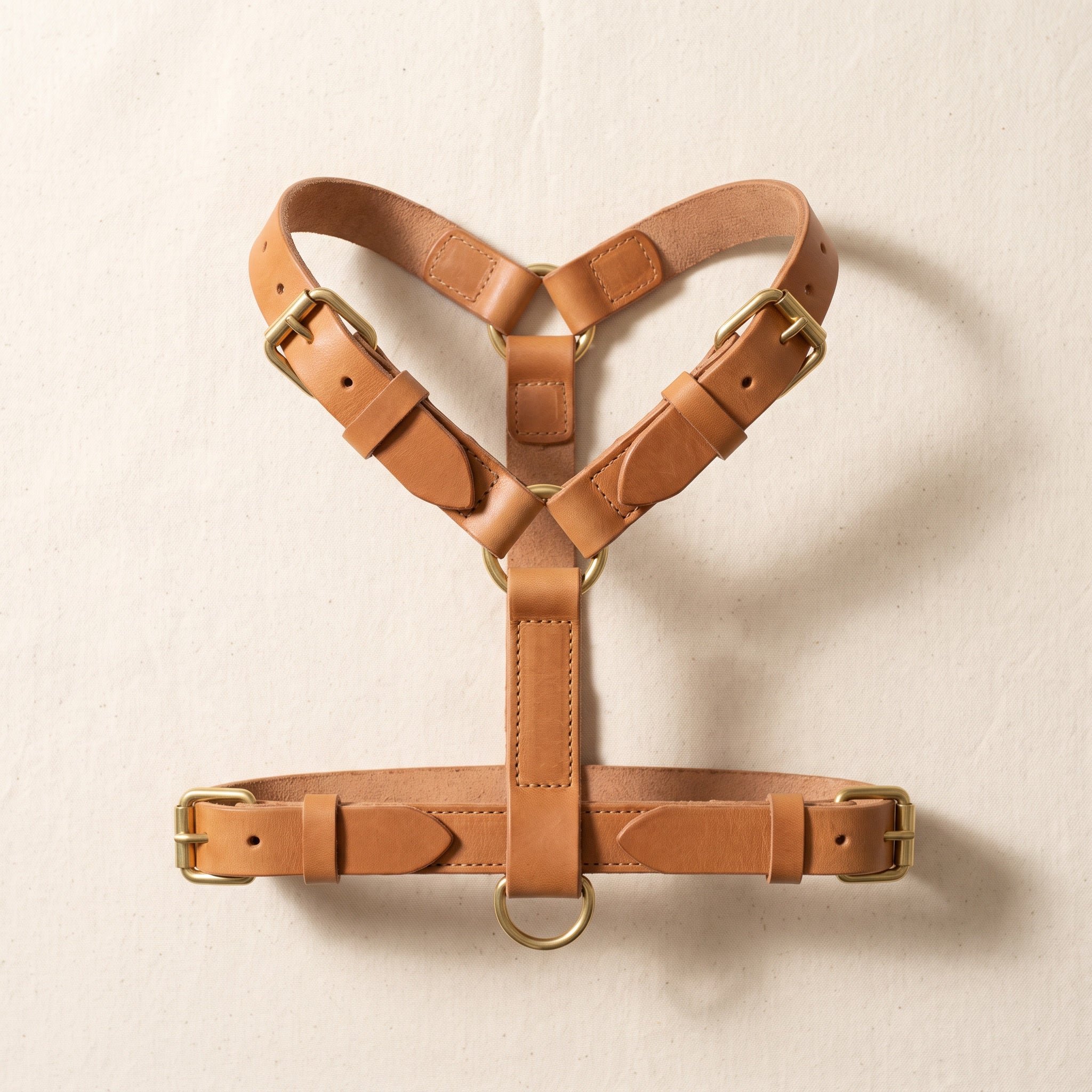 Y-front tan leather harness for small breeds and brachycephalic dogs, brass hardware, two D-rings